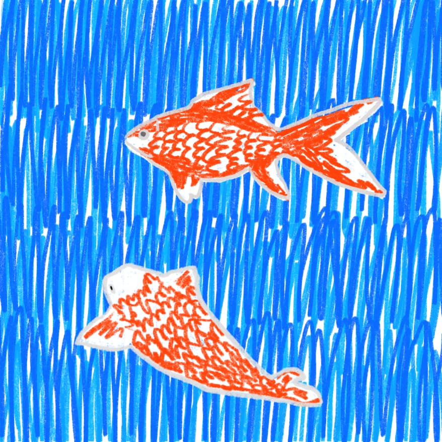 Two fish in the ocean